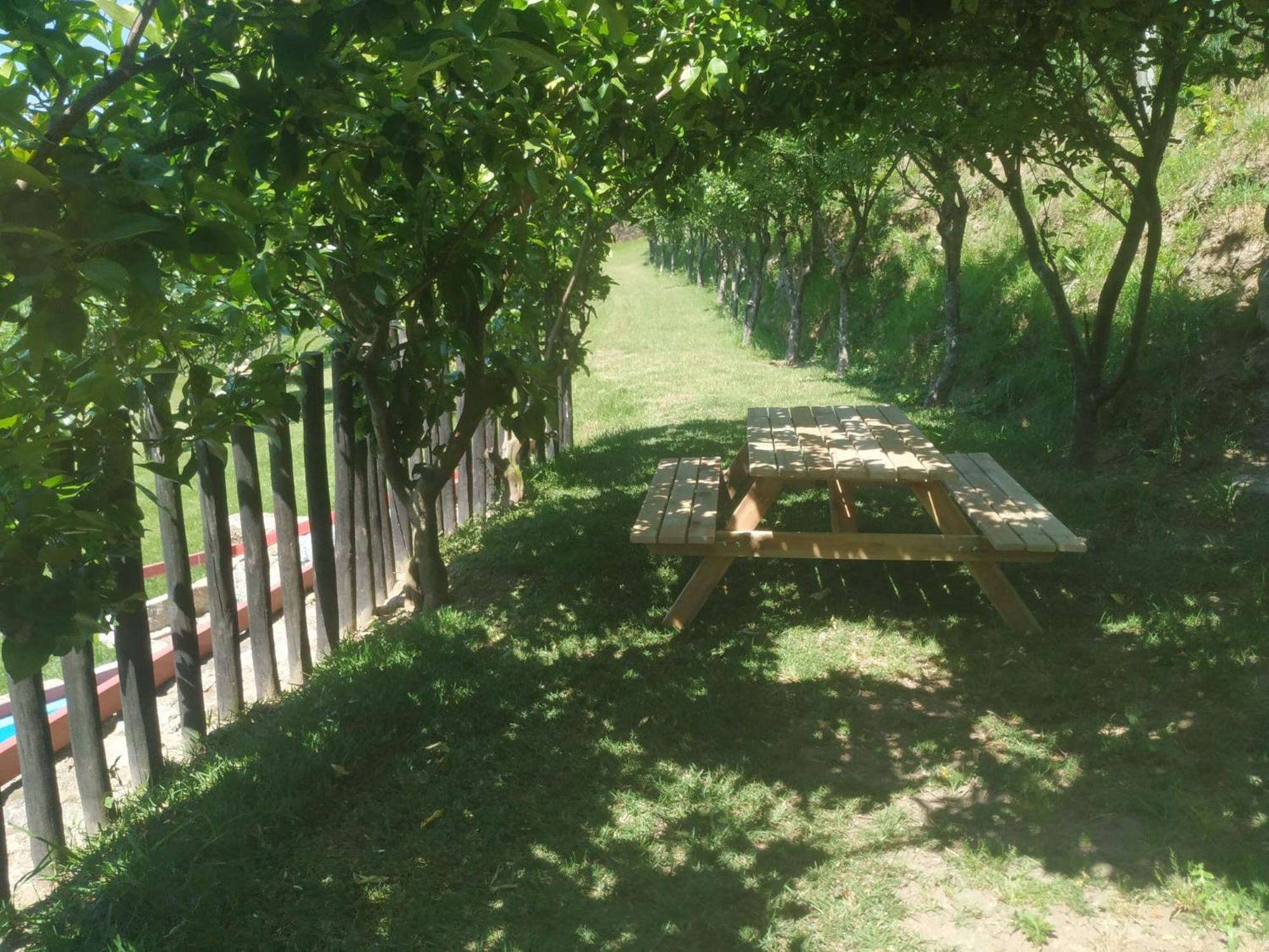 Séjour à la campagne Quinta Dos Campos - 2